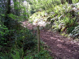2005-05-11-11-12-19_porlock_weir_to_minehead-004_porlock_weir_to_minehead.jpg 2005-05-11-11-12-19_porlock_weir_to_minehead-004_porlock_weir_to_minehead.jpg porlock_weir_to_minehead