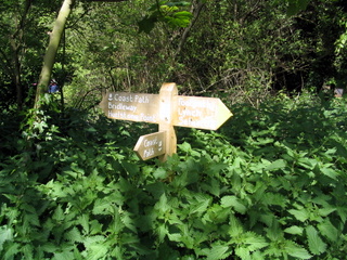 2005-05-11-12-24-49_porlock_weir_to_minehead-018_porlock_weir_to_minehead.jpg 2005-05-11-12-24-49_porlock_weir_to_minehead-018_porlock_weir_to_minehead.jpg porlock_weir_to_minehead