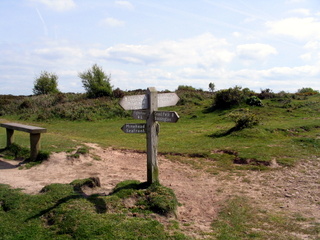2005-05-11-14-41-55_porlock_weir_to_minehead-040_porlock_weir_to_minehead.jpg 2005-05-11-14-41-55_porlock_weir_to_minehead-040_porlock_weir_to_minehead.jpg porlock_weir_to_minehead