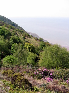 2005-05-11-15-06-38_porlock_weir_to_minehead-042_porlock_weir_to_minehead.jpg 2005-05-11-15-06-38_porlock_weir_to_minehead-042_porlock_weir_to_minehead.jpg porlock_weir_to_minehead
