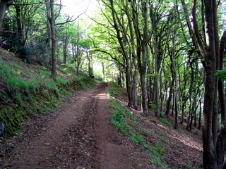 2005-05-11-15-20-25_porlock_weir_to_minehead-044_porlock_weir_to_minehead.jpg 2005-05-11-15-20-25_porlock_weir_to_minehead-044_porlock_weir_to_minehead.jpg porlock_weir_to_minehead
