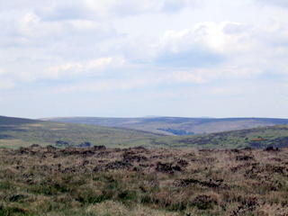 2005-05-18-11-15-53_bittaford_moor_gate-006_bittaford_moor_gate.jpg 2005-05-18-11-15-53_bittaford_moor_gate-006_bittaford_moor_gate.jpg bittaford_moor_gate