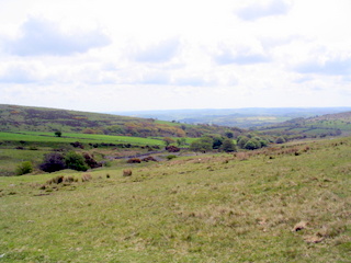 2005-05-18-11-49-10_bittaford_moor_gate-013_bittaford_moor_gate.jpg 2005-05-18-11-49-10_bittaford_moor_gate-013_bittaford_moor_gate.jpg bittaford_moor_gate
