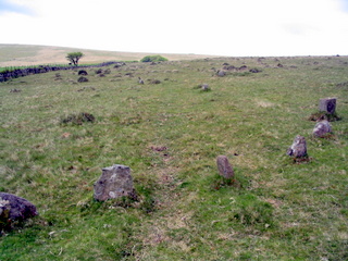 2005-05-18-12-01-09_bittaford_moor_gate-015_bittaford_moor_gate.jpg 2005-05-18-12-01-09_bittaford_moor_gate-015_bittaford_moor_gate.jpg bittaford_moor_gate