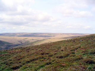 2005-05-18-13-28-19_bittaford_moor_gate-032_bittaford_moor_gate.jpg 2005-05-18-13-28-19_bittaford_moor_gate-032_bittaford_moor_gate.jpg bittaford_moor_gate