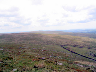 2005-05-18-13-39-39_bittaford_moor_gate-035_bittaford_moor_gate.jpg 2005-05-18-13-39-39_bittaford_moor_gate-035_bittaford_moor_gate.jpg bittaford_moor_gate