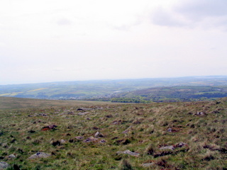 2005-05-18-14-35-02_bittaford_moor_gate-039_bittaford_moor_gate.jpg 2005-05-18-14-35-02_bittaford_moor_gate-039_bittaford_moor_gate.jpg bittaford_moor_gate