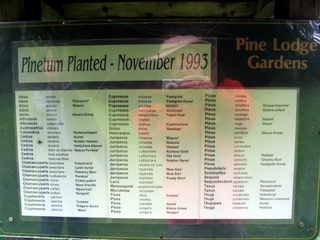 2005-05-21-12-07-58_garden_pine_lodge_may_05-011_garden_pine_lodge_may_05.jpg 2005-05-21-12-07-58_garden_pine_lodge_may_05-011_garden_pine_lodge_may_05.jpg garden_pine_lodge_may_05