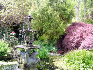 2005-05-21-13-45-18_garden_pine_lodge_may_05-027_garden_pine_lodge_may_05.jpg 2005-05-21-13-45-18_garden_pine_lodge_may_05-027_garden_pine_lodge_may_05.jpg garden_pine_lodge_may_05
