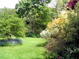 2005-05-21-13-45-48_garden_pine_lodge_may_05-028_garden_pine_lodge_may_05.jpg 2005-05-21-13-45-48_garden_pine_lodge_may_05-028_garden_pine_lodge_may_05.jpg garden_pine_lodge_may_05