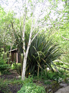 2005-05-21-14-41-38_garden_marsh_villa_may_05-005_garden_marsh_villa_may_05.jpg 2005-05-21-14-41-38_garden_marsh_villa_may_05-005_garden_marsh_villa_may_05.jpg garden_marsh_villa_may_05
