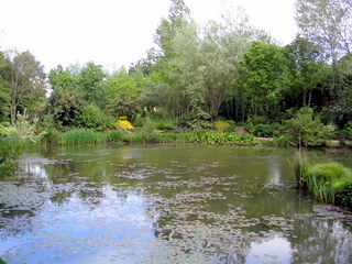 2005-05-21-14-42-10_garden_marsh_villa_may_05-006_garden_marsh_villa_may_05.jpg 2005-05-21-14-42-10_garden_marsh_villa_may_05-006_garden_marsh_villa_may_05.jpg garden_marsh_villa_may_05