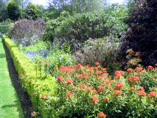2005-05-21-14-47-08_garden_marsh_villa_may_05-009_garden_marsh_villa_may_05.jpg 2005-05-21-14-47-08_garden_marsh_villa_may_05-009_garden_marsh_villa_may_05.jpg garden_marsh_villa_may_05