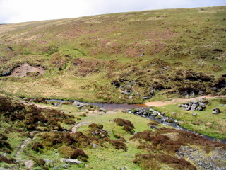 2005-05-22-12-09-35_belstone_steeperton_wild_tor_hound_cosdon_may_05-006_belstone_steeperton_wild_tor_hound_cosdon_may_05.jpg 2005-05-22-12-09-35_belstone_steeperton_wild_tor_hound_cosdon_may_05-006_belstone_steeperton_wild_tor_hound_cosdon_may_05.jpg belstone_steeperton_wild_tor_hound_cosdon_may_05