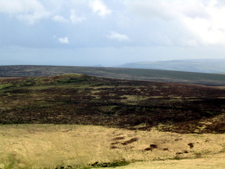 2005-05-22-12-20-24_belstone_steeperton_wild_tor_hound_cosdon_may_05-012_belstone_steeperton_wild_tor_hound_cosdon_may_05.jpg 2005-05-22-12-20-24_belstone_steeperton_wild_tor_hound_cosdon_may_05-012_belstone_steeperton_wild_tor_hound_cosdon_may_05.jpg belstone_steeperton_wild_tor_hound_cosdon_may_05