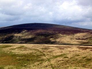 2005-05-22-12-20-31_belstone_steeperton_wild_tor_hound_cosdon_may_05-013_belstone_steeperton_wild_tor_hound_cosdon_may_05.jpg 2005-05-22-12-20-31_belstone_steeperton_wild_tor_hound_cosdon_may_05-013_belstone_steeperton_wild_tor_hound_cosdon_may_05.jpg belstone_steeperton_wild_tor_hound_cosdon_may_05