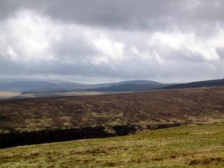 2005-05-22-12-20-40_belstone_steeperton_wild_tor_hound_cosdon_may_05-014_belstone_steeperton_wild_tor_hound_cosdon_may_05.jpg 2005-05-22-12-20-40_belstone_steeperton_wild_tor_hound_cosdon_may_05-014_belstone_steeperton_wild_tor_hound_cosdon_may_05.jpg belstone_steeperton_wild_tor_hound_cosdon_may_05