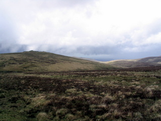 2005-05-22-12-39-31_belstone_steeperton_wild_tor_hound_cosdon_may_05-019_belstone_steeperton_wild_tor_hound_cosdon_may_05.jpg 2005-05-22-12-39-31_belstone_steeperton_wild_tor_hound_cosdon_may_05-019_belstone_steeperton_wild_tor_hound_cosdon_may_05.jpg belstone_steeperton_wild_tor_hound_cosdon_may_05