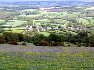 2005-05-22-14-28-54_belstone_steeperton_wild_tor_hound_cosdon_may_05-032_belstone_steeperton_wild_tor_hound_cosdon_may_05.jpg 2005-05-22-14-28-54_belstone_steeperton_wild_tor_hound_cosdon_may_05-032_belstone_steeperton_wild_tor_hound_cosdon_may_05.jpg belstone_steeperton_wild_tor_hound_cosdon_may_05