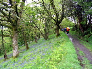 2005-05-22-14-42-30_belstone_steeperton_wild_tor_hound_cosdon_may_05-034_belstone_steeperton_wild_tor_hound_cosdon_may_05.jpg 2005-05-22-14-42-30_belstone_steeperton_wild_tor_hound_cosdon_may_05-034_belstone_steeperton_wild_tor_hound_cosdon_may_05.jpg belstone_steeperton_wild_tor_hound_cosdon_may_05