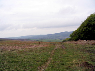 2005-05-25-11-26-04_wheddon_cross_dunkery_beacon_porlock_post_luchwell_bridge_may_05-007_wheddon_cross_dunkery_beacon_porlock_post_luchwell_bridge_may_05.jpg 2005-05-25-11-26-04_wheddon_cross_dunkery_beacon_porlock_post_luchwell_bridge_may_05-007_wheddon_cross_dunkery_beacon_porlock_post_luchwell_bridge_may_05.jpg wheddon_cross_dunkery_beacon_porlock_post_luchwell_bridge_may_05