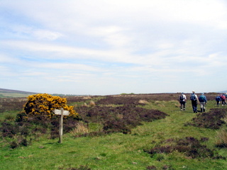 2005-05-25-14-18-28_wheddon_cross_dunkery_beacon_porlock_post_luchwell_bridge_may_05-028_wheddon_cross_dunkery_beacon_porlock_post_luchwell_bridge_may_05.jpg 2005-05-25-14-18-28_wheddon_cross_dunkery_beacon_porlock_post_luchwell_bridge_may_05-028_wheddon_cross_dunkery_beacon_porlock_post_luchwell_bridge_may_05.jpg wheddon_cross_dunkery_beacon_porlock_post_luchwell_bridge_may_05