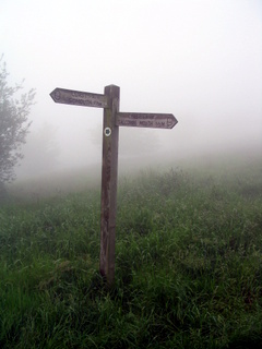 2005-06-01-11-50-41_sidford_sidmouth_mist_june_05-005_sidford_sidmouth_mist_june_05.jpg 2005-06-01-11-50-41_sidford_sidmouth_mist_june_05-005_sidford_sidmouth_mist_june_05.jpg sidford_sidmouth_mist_june_05