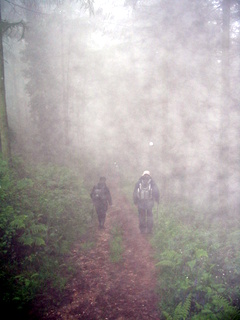 2005-06-01-12-14-14_sidford_sidmouth_mist_june_05-007_sidford_sidmouth_mist_june_05.jpg 2005-06-01-12-14-14_sidford_sidmouth_mist_june_05-007_sidford_sidmouth_mist_june_05.jpg sidford_sidmouth_mist_june_05