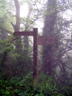 2005-06-01-13-44-19_sidford_sidmouth_mist_june_05-015_sidford_sidmouth_mist_june_05.jpg 2005-06-01-13-44-19_sidford_sidmouth_mist_june_05-015_sidford_sidmouth_mist_june_05.jpg sidford_sidmouth_mist_june_05