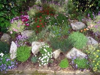 2005-06-01-16-36-05_sidford_sidmouth_mist_june_05-017_sidford_sidmouth_mist_june_05.jpg 2005-06-01-16-36-05_sidford_sidmouth_mist_june_05-017_sidford_sidmouth_mist_june_05.jpg sidford_sidmouth_mist_june_05