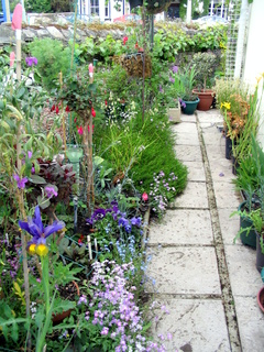 2005-06-04-14-34-53_bovey_tracey_gardens_june_05-013_bovey_tracey_gardens_june_05.jpg 2005-06-04-14-34-53_bovey_tracey_gardens_june_05-013_bovey_tracey_gardens_june_05.jpg bovey_tracey_gardens_june_05