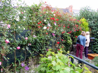 2005-06-04-14-35-47_bovey_tracey_gardens_june_05-014_bovey_tracey_gardens_june_05.jpg 2005-06-04-14-35-47_bovey_tracey_gardens_june_05-014_bovey_tracey_gardens_june_05.jpg bovey_tracey_gardens_june_05