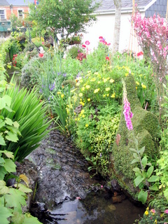 2005-06-04-14-38-11_bovey_tracey_gardens_june_05-002_bovey_tracey_gardens_june_05.jpg 2005-06-04-14-38-11_bovey_tracey_gardens_june_05-002_bovey_tracey_gardens_june_05.jpg bovey_tracey_gardens_june_05