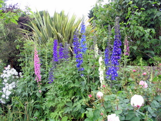 2005-06-04-14-45-57_bovey_tracey_gardens_june_05-004_bovey_tracey_gardens_june_05.jpg 2005-06-04-14-45-57_bovey_tracey_gardens_june_05-004_bovey_tracey_gardens_june_05.jpg bovey_tracey_gardens_june_05