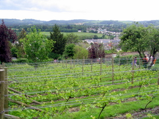 2005-06-04-15-06-25_bovey_tracey_gardens_june_05-006_bovey_tracey_gardens_june_05.jpg 2005-06-04-15-06-25_bovey_tracey_gardens_june_05-006_bovey_tracey_gardens_june_05.jpg bovey_tracey_gardens_june_05
