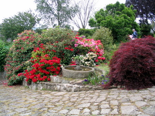 2005-06-04-15-19-52_bovey_tracey_gardens_june_05-007_bovey_tracey_gardens_june_05.jpg 2005-06-04-15-19-52_bovey_tracey_gardens_june_05-007_bovey_tracey_gardens_june_05.jpg bovey_tracey_gardens_june_05
