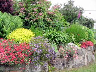 2005-06-04-15-33-37_bovey_tracey_gardens_june_05-009_bovey_tracey_gardens_june_05.jpg 2005-06-04-15-33-37_bovey_tracey_gardens_june_05-009_bovey_tracey_gardens_june_05.jpg bovey_tracey_gardens_june_05