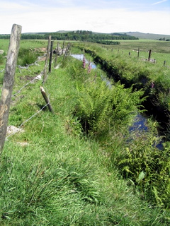 2005-06-22-10-53-23_princetown_swincombe_whiteworks-011_princetown_swincombe_whiteworks.jpg 2005-06-22-10-53-23_princetown_swincombe_whiteworks-011_princetown_swincombe_whiteworks.jpg princetown_swincombe_whiteworks