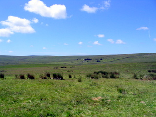2005-06-22-12-22-38_princetown_swincombe_whiteworks-021_princetown_swincombe_whiteworks.jpg 2005-06-22-12-22-38_princetown_swincombe_whiteworks-021_princetown_swincombe_whiteworks.jpg princetown_swincombe_whiteworks