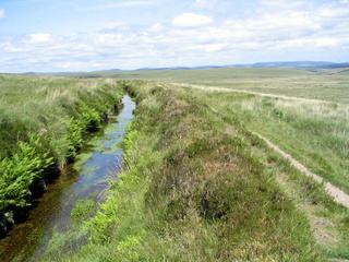 2005-06-22-13-43-34_princetown_swincombe_whiteworks-026_princetown_swincombe_whiteworks.jpg 2005-06-22-13-43-34_princetown_swincombe_whiteworks-026_princetown_swincombe_whiteworks.jpg princetown_swincombe_whiteworks