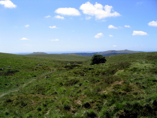 2005-06-22-14-02-57_princetown_swincombe_whiteworks-032_princetown_swincombe_whiteworks.jpg 2005-06-22-14-02-57_princetown_swincombe_whiteworks-032_princetown_swincombe_whiteworks.jpg princetown_swincombe_whiteworks