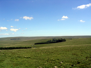 2005-06-22-14-54-16_princetown_swincombe_whiteworks-041_princetown_swincombe_whiteworks.jpg 2005-06-22-14-54-16_princetown_swincombe_whiteworks-041_princetown_swincombe_whiteworks.jpg princetown_swincombe_whiteworks