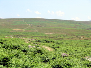 2005-07-10-12-04-50_cadover_plym_steps-008_cadover_plymn.jpg 2005-07-10-12-04-50_cadover_plym_steps-008_cadover_plymn.jpg cadover_plymn