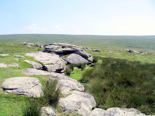 2005-07-10-12-36-33_cadover_plym_steps-023_cadover_plymn.jpg 2005-07-10-12-36-33_cadover_plym_steps-023_cadover_plymn.jpg cadover_plymn