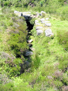2005-07-10-13-04-37_cadover_plym_steps-025_cadover_plymn.jpg 2005-07-10-13-04-37_cadover_plym_steps-025_cadover_plymn.jpg cadover_plymn