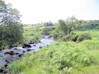 2005-07-10-15-32-46_cadover_plym_steps-034_cadover_plymn.jpg 2005-07-10-15-32-46_cadover_plym_steps-034_cadover_plymn.jpg cadover_plymn