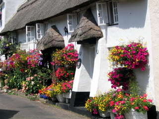 2005-07-15-11-31-37_branscombe_july_05-002_branscombe_july_05.jpg 2005-07-15-11-31-37_branscombe_july_05-002_branscombe_july_05.jpg branscombe_july_05