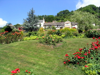 2005-07-15-11-38-15_branscombe_july_05-005_branscombe_july_05.jpg 2005-07-15-11-38-15_branscombe_july_05-005_branscombe_july_05.jpg branscombe_july_05