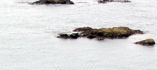 2005-07-20-12-06-59_beesands_coast_lanes_july_05-006_beesands_startpoint_loop.jpg 2005-07-20-12-06-59_beesands_coast_lanes_july_05-006_beesands_startpoint_loop.jpg beesands_startpoint_loop