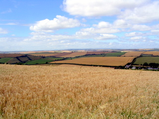2005-07-20-14-26-15_beesands_coast_lanes_july_05-016_beesands_startpoint_loop.jpg 2005-07-20-14-26-15_beesands_coast_lanes_july_05-016_beesands_startpoint_loop.jpg beesands_startpoint_loop